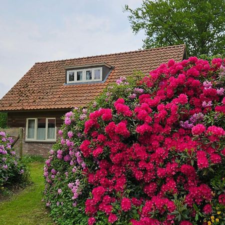 Holiday Home Countryside, Langbroek / دورن المظهر الخارجي الصورة