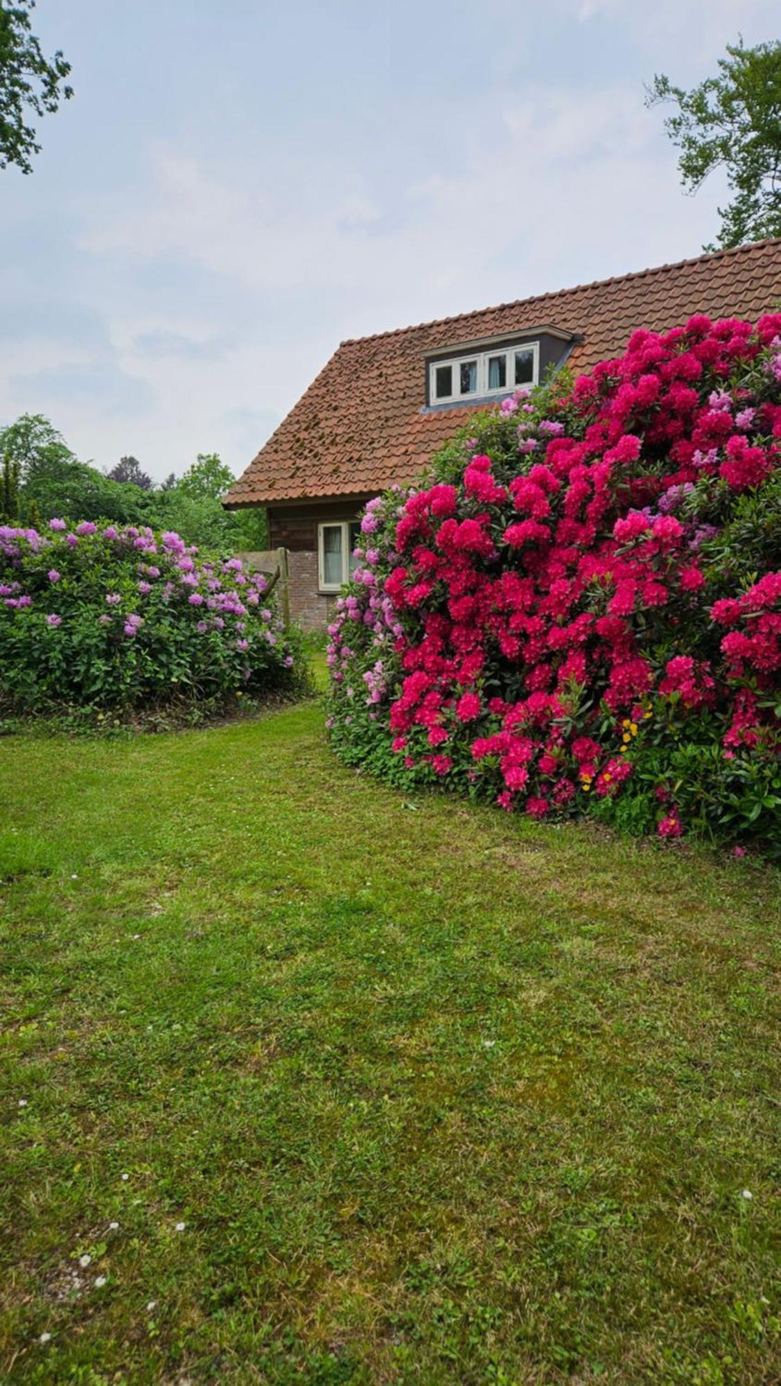 Holiday Home Countryside, Langbroek / دورن المظهر الخارجي الصورة