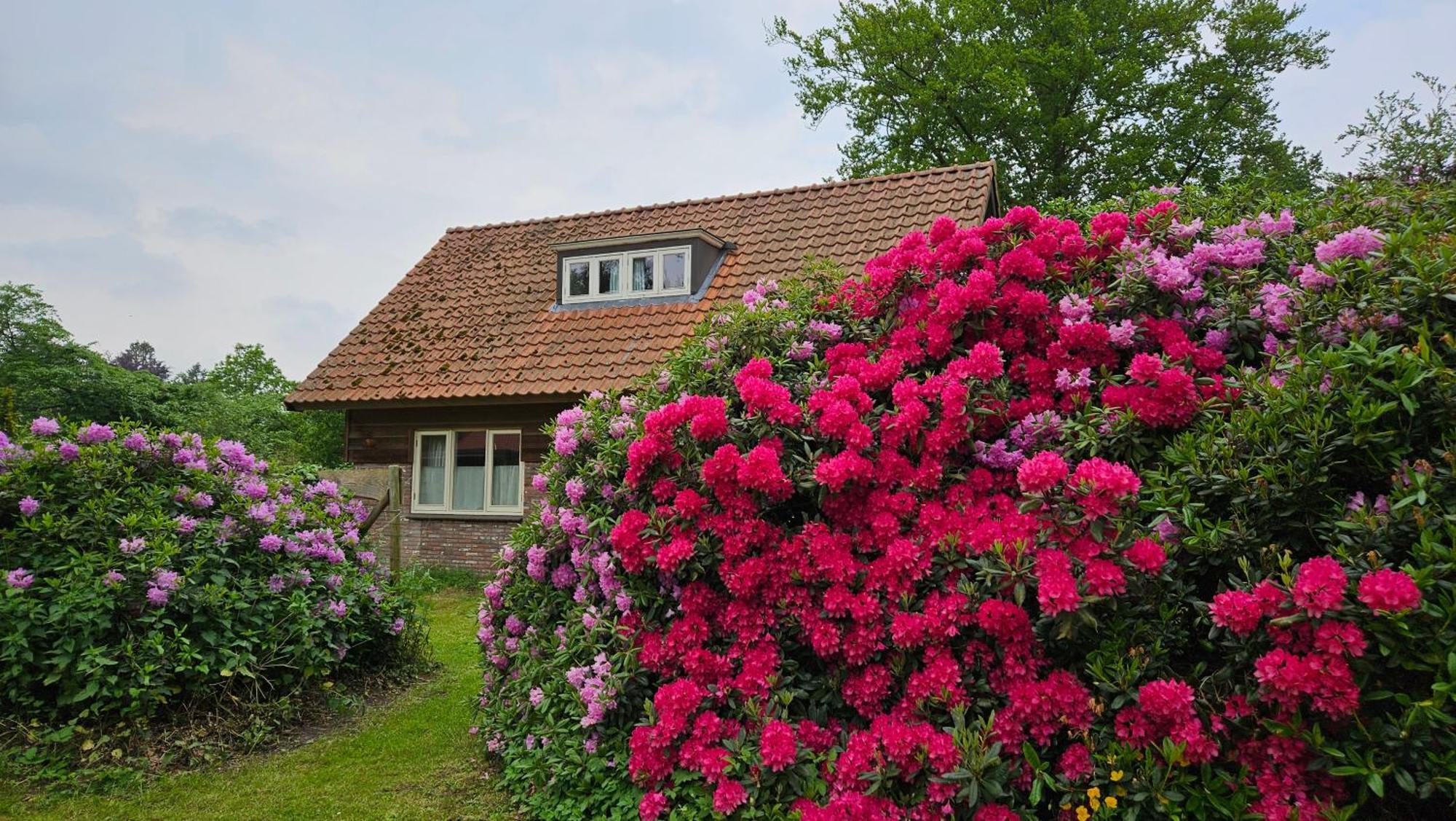Holiday Home Countryside, Langbroek / دورن المظهر الخارجي الصورة